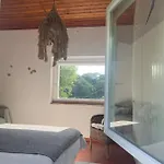 A House In The Woods