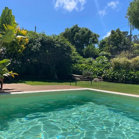 A House In The Woods Дом отдыха *