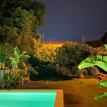 A House In The Woods *