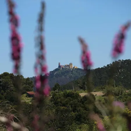 Semesterbostad A House In The Woods *