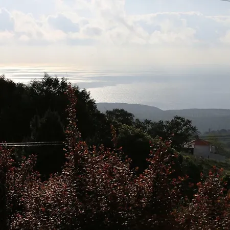 A House In The Woods *