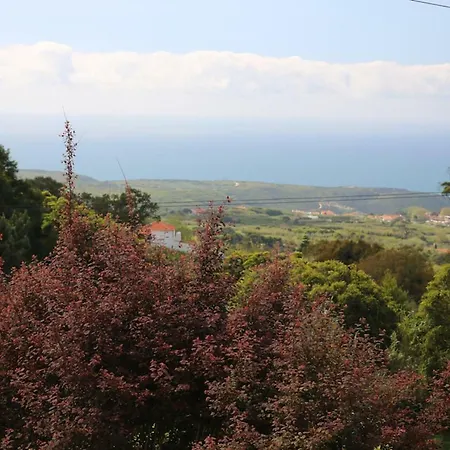 A House In The Woods Semesterbostad *