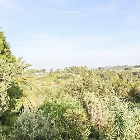 A House In The Woods בית נופש