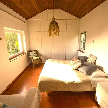 Ferienhaus A House In The Woods *