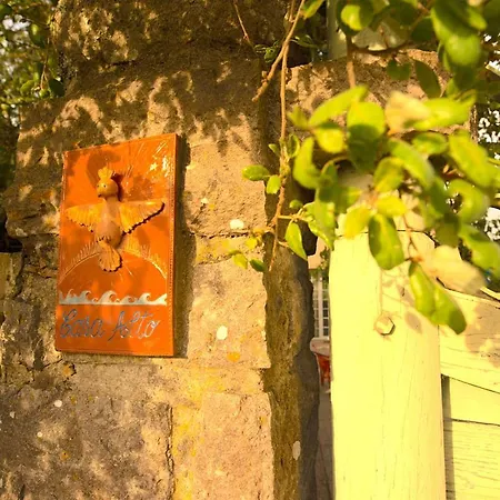 A House In The Woods בית נופש