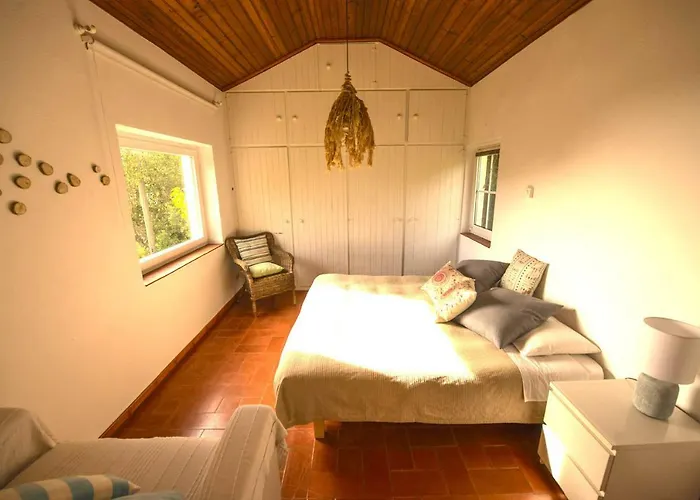 Dom wakacyjny A House In The Woods *
